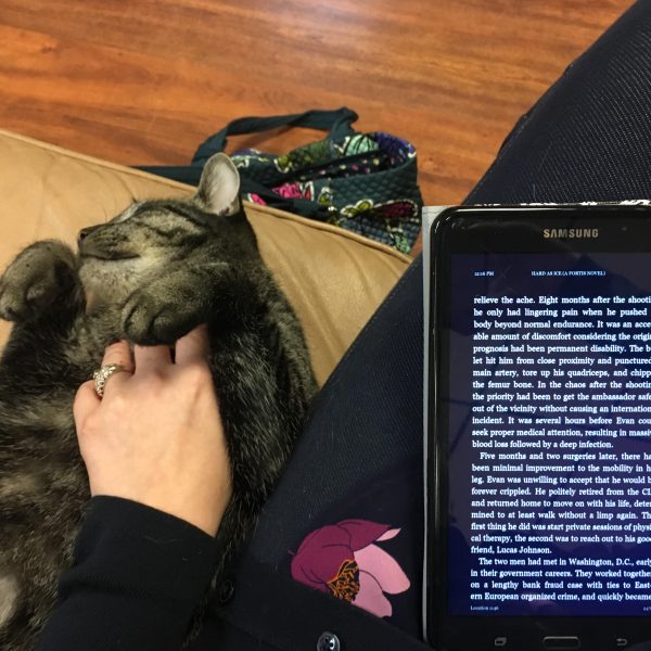 A shot of my lap where my Kindle is resting. Snuggled up next to me is a sleeping cat on her back, enjoying tummy rubs.