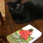 A large, black cat is curled up on a table next to a copy of The Dutch Girl.