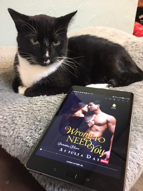 A black and white cat lays on a pillow next to a copy of Wrong to Need You.