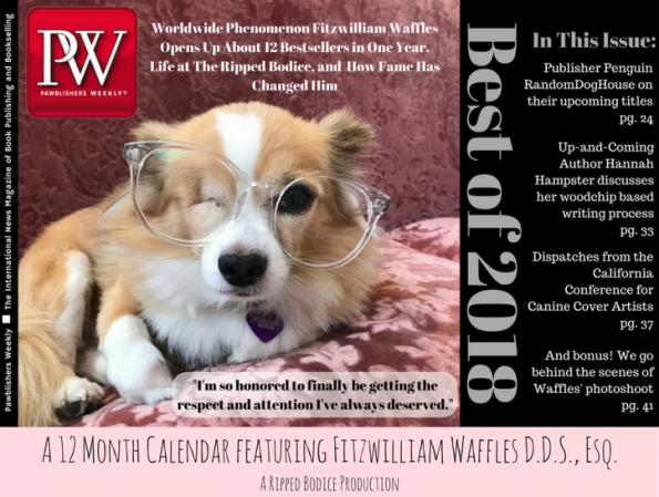 Cover of Fitzwiliam Waffles calendar with fitz wearing glasses on a mockup PW cover