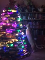 The tree lit up in a dark room. Dewey is trying to scale it.