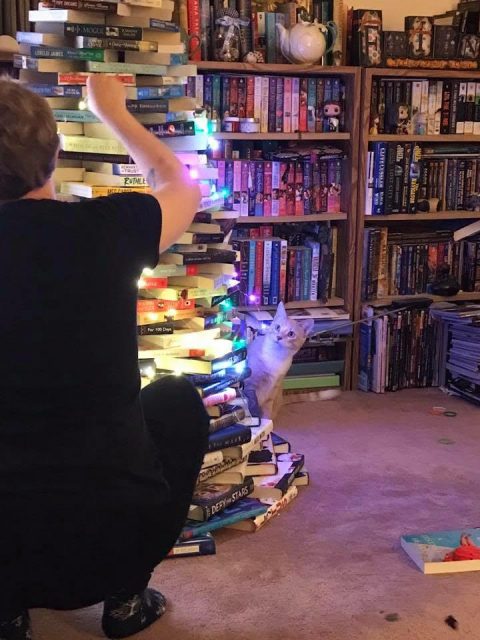 I am crouched in front of the tree stringing up lights. Dewey leans around from behind the tree with a what the fuck is this look on his face.