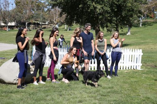 Everyone is excited for dogs!