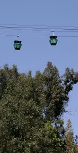 The Skyfari, a pic showing two of the cars above the trees.