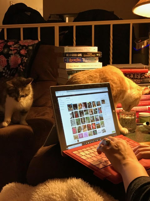 You can see my hands as I type on my laptop recapping this shit show. Dewey sits on the table next to me drinking out of my water glass while Fisher watches