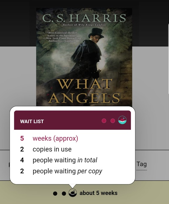 There is a wait list for this title and Libby tells me there are 2 copies in use, four people waiting in total, two people waiting per copy, so the hold wait is about 5 weeks - amazing