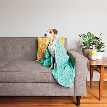 A dog sits on a couch wrapped in a cozy blanket.