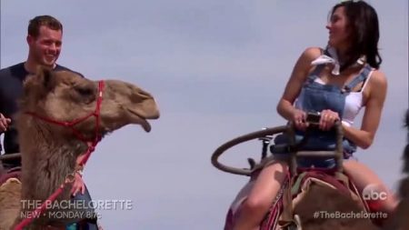 Colton and Becca ride camels