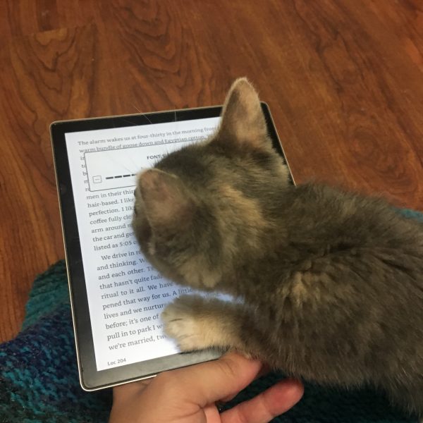 A very smal grey and orange kitten standing on Elyse's Kindle preventing her from reading. 