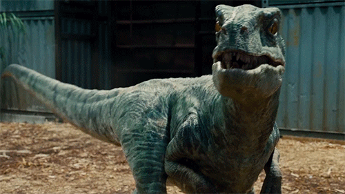 Blue, the raptor from Jurassic World, snarls