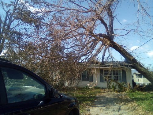 A tree that has fallen on a house.