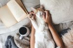 Cute ginger cat is sleeping in the bed on warm blanket. Cold autumn or winter weekend while reading a book and drinking warm coffee or tea. Hygge concept. Text on the pages is not recognizable.