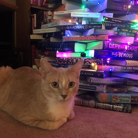 Dewey sits in front of the Bookmas Tree