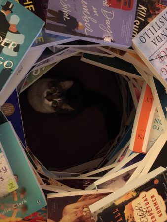 Fisher looks up from the center of the hollow Bookmas Tree. 