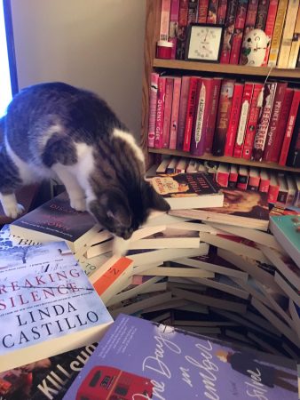 Fisher perches on the edge of the partially assembled Bookmas Tree and looks down