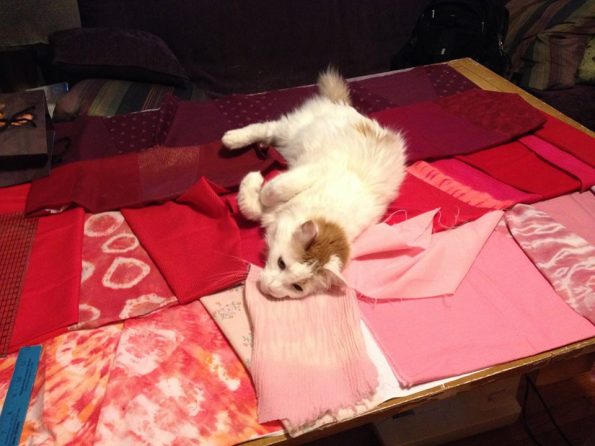 Cleo's cat, a white and brown cat, resting on squares of pink, red, and burgundy fabric