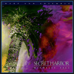 Michelle Sell Secret Harbor a shot of a palm tree from underneath against a purple pink and red smeared sky 