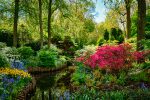 Keukenhof flower garden, also known as the Garden of Europe. One of the world's largest flower gardens. Lisse, the Netherlands.