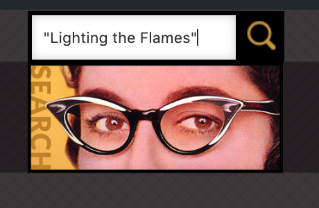 The search box on the site with the words Lighting the Flames typed in quotation marks