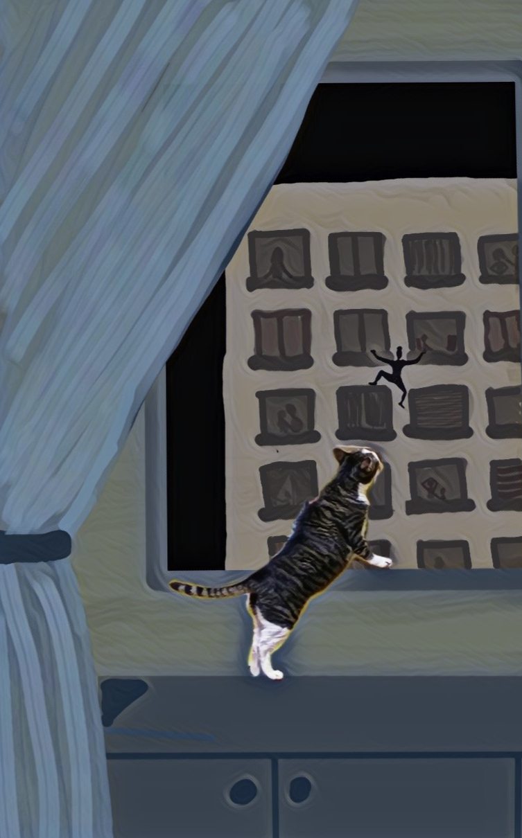 Poppy's cat watches a black silhouette climb the outside of an apartment building, tail back and ears forward, very curious about what's happening!