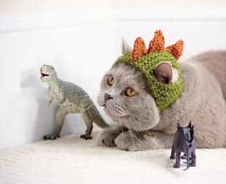 A gray cat wears a hat crocheted to make him look like a dinosaur