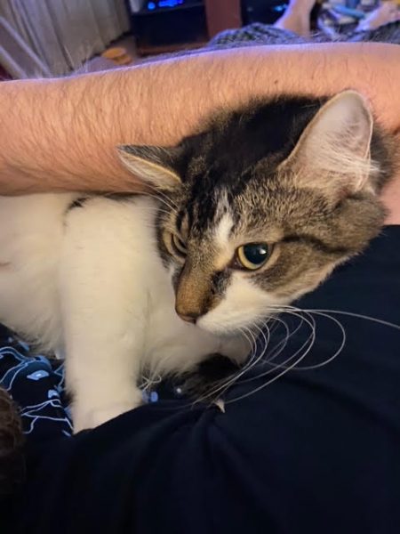 Fish glaring at my husband as he is cuddled