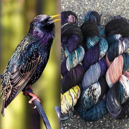 a picture of a bird with purple, navy, back and gold plumage and variegated yarn dyed to match 