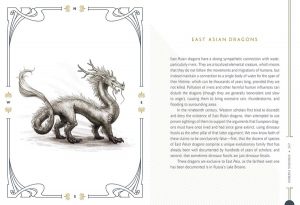 Illustration from the book depicting a Chinese dragon