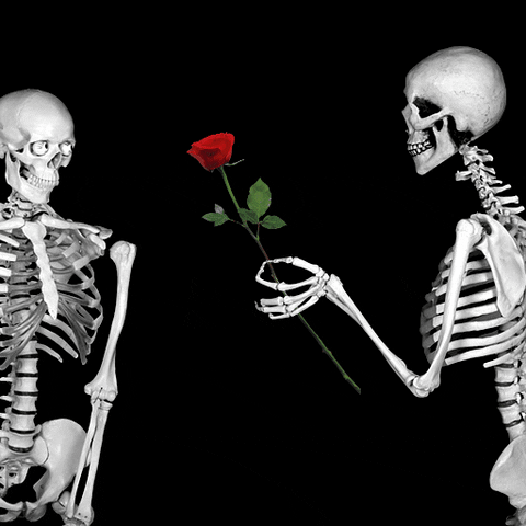 An animated skeleton hands another animated skeleton a rose while hearts appear overhead