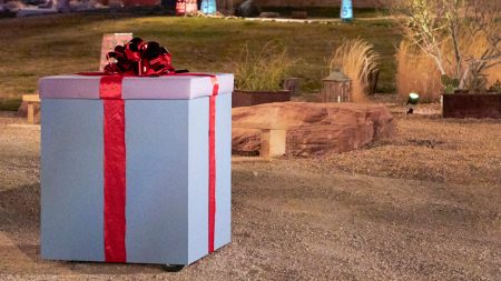 a large blue box with a red bow
