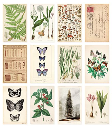 Close up of vintage fern, bulb and butterfly illustrations on a set of sepia tinted postcards
