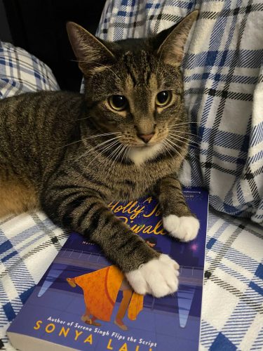 A tabby cat with his paw on a book.