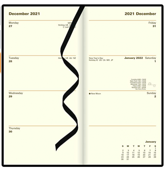 Simple weekly planner with eight blocks on each page for 7 days plus extra notes 