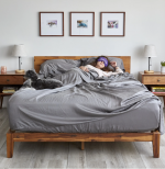 An image of a woman lying in a bed with her dog and a sleep mask on the sheets are draped across the bed and are dark grey