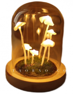 a dome of glass with glowing mushrooms inside 
