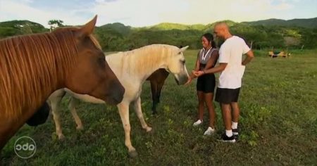 Joe and Michelle feed horses