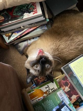 Pudding smiles up from where she's laying amid her books.