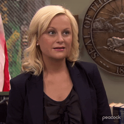 Leslie Knope says sure