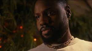 Paul's face, showing that yes, his beard is connecting to his sideburns.