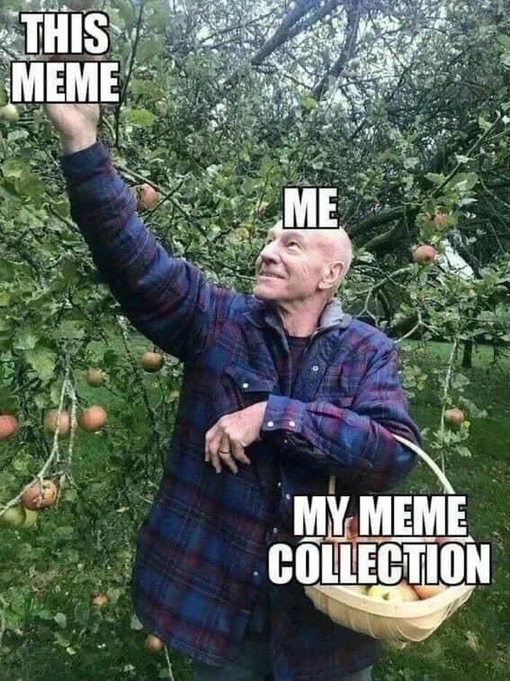 Patrick Stewart apple picking with the caption This Meme, for the apple, ME for Patrick, and his apple basket captioned my meme collection