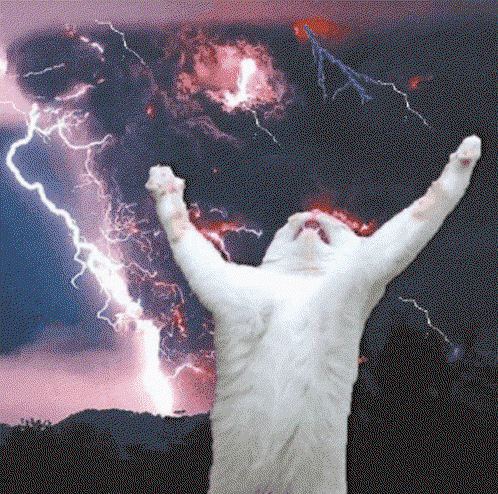 A cat with it arms raised against a sky full of lightning