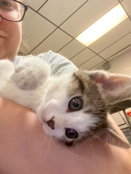 Radar lays in my arms
