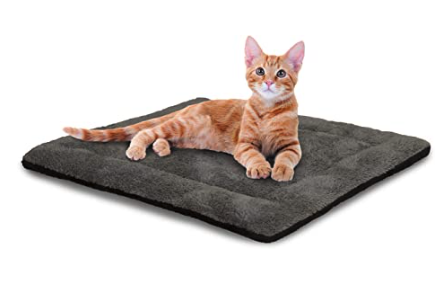 A self warming pet pad with an orange tabby looking curious and very comfy 