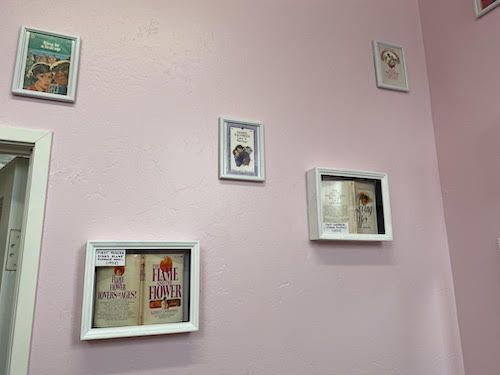 A pink wall with a high ceiling and white windowbox frames of some classic category romances and covers