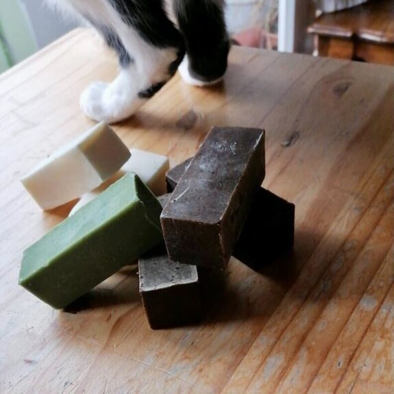 back legs of Agatha posting behind the bars of soap artfully stacked