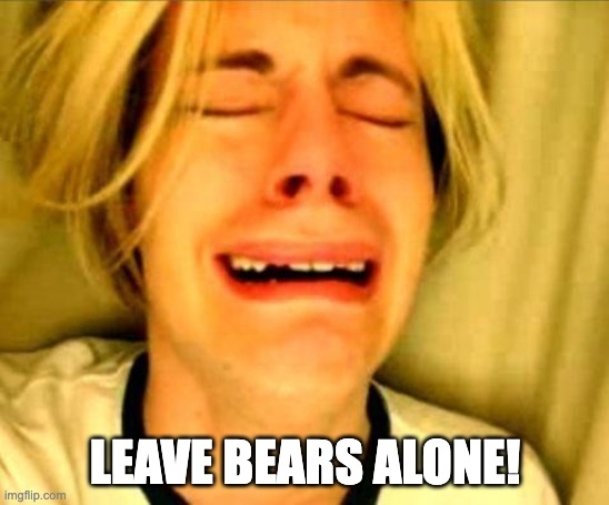 An old meme of Chris Crocker that says "leave bears alone"
