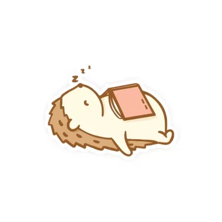 A hedgehog sleeps with a book on her stomach