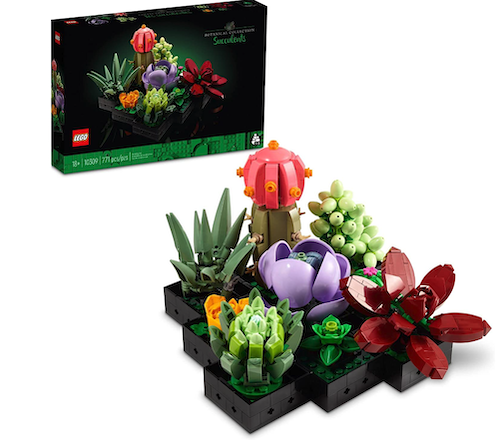 LEGO botanicals succulent garden building set 