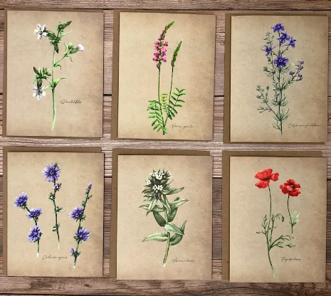 Sample of six cards with different wild flowers in white green pink blue and red against a wood background