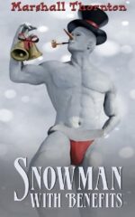 Snowman with Benefits by Marshall Thornton. A ripped snowman wearing a red speedo, a top hat, and smoking a pipe. One hand is holding a pair of bells and the other hand seems to be in his underpants.